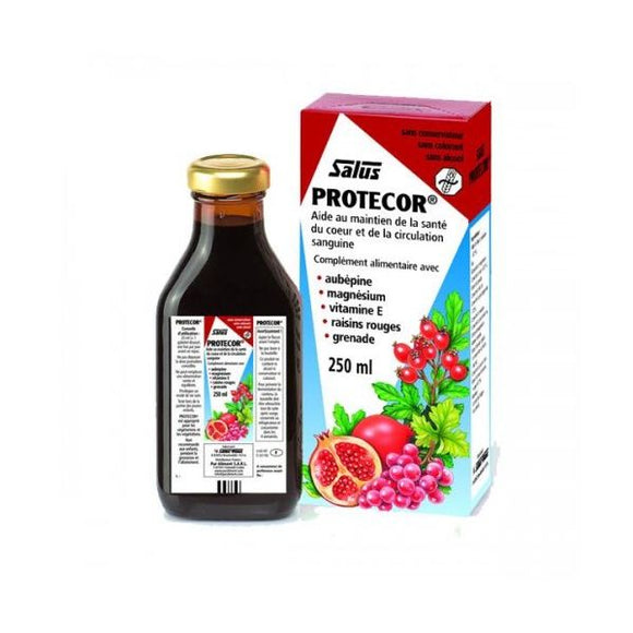 Floradix Protecor 250ml - Salus Haus - Crisdietética