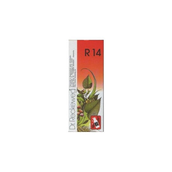 R14 Gotas Orais Solução 50ml - Dr. Reckeweg - Crisdietética